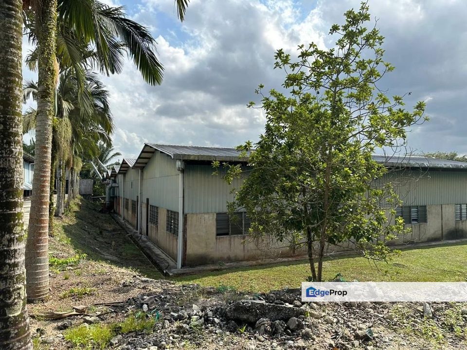 Sungai Tiram 15 Acres Land, Johor, Ulu Tiram