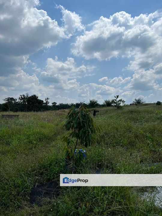 Kota Tinggi 3.5 Acres Land, Johor, Kota Tinggi