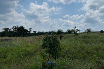 Kota Tinggi 3.5 Acres Land