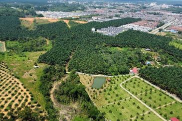 Kota Tinggi 3.5 Acres Land