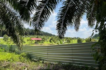 Kota Tinggi 3.5 Acres Land