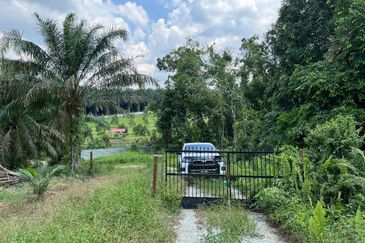 Kota Tinggi 3.5 Acres Land