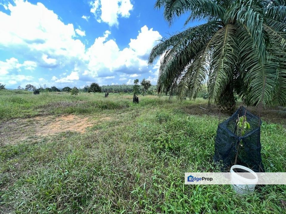 Kota Tinggi 3.5 Acres Land, Johor, Kota Tinggi