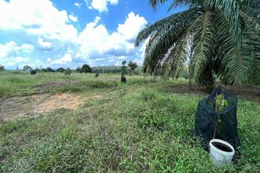 Kota Tinggi 3.5 Acres Land