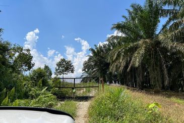 Kota Tinggi 3.5 Acres Land