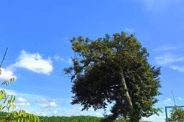 Ulu Tiram 9 Acres Land