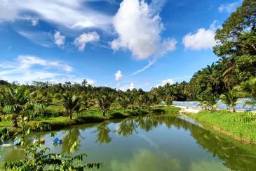 Ulu Tiram 9 Acres Land