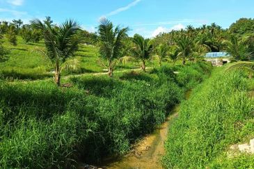 Ulu Tiram 9 Acres Land