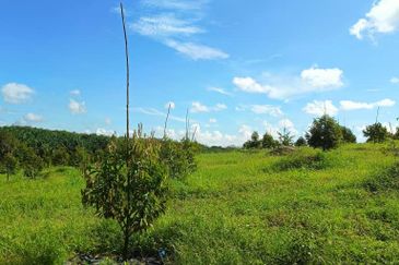 Ulu Tiram 9 Acres Land