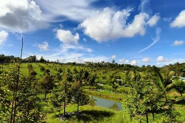 Ulu Tiram 9 Acres Land