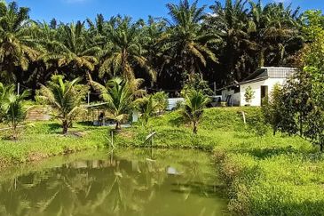 Ulu Tiram 9 Acres Land