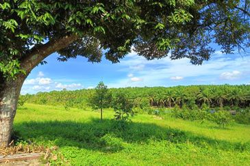 Ulu Tiram 9 Acres Land