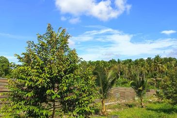 Ulu Tiram 9 Acres Land