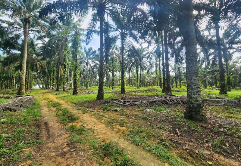 Layang Layang 8 Acres Land