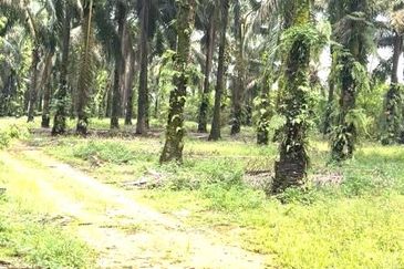 Ulu Tiram 9 Acres Land