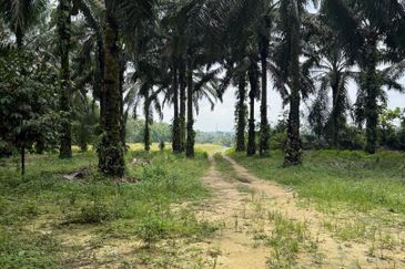 Ulu Tiram 9 Acres Land