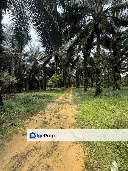 Ulu Tiram 9 Acres Land, Johor, Ulu Tiram