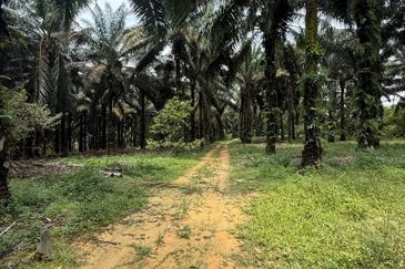 Ulu Tiram 9 Acres Land