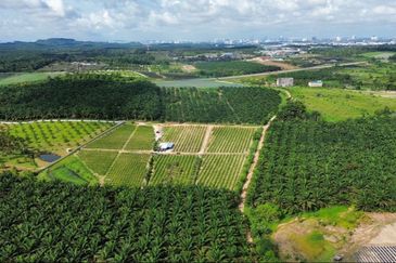 Ban Foo 7.38 Acres Land