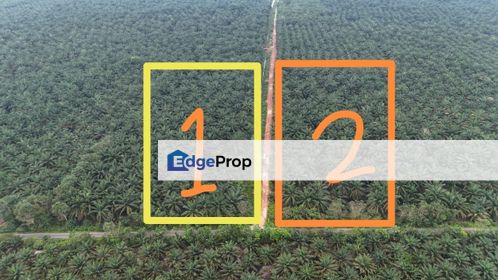 Pekan Nanas 8 Acres Land, Johor, Pekan Nanas (Pekan Nenas)