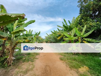 Batu Pahat 4.5 Acres Land, Johor, Batu Pahat