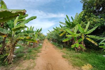 Batu Pahat 4.5 Acres Land