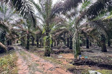 Kluang 8.3 Acres Land