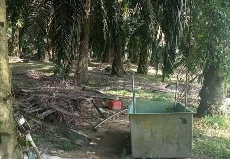 Kulai 2.775 Acres Land