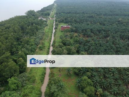 Pontian 3.548 Acres Land Near Seaside, Johor, Pontian