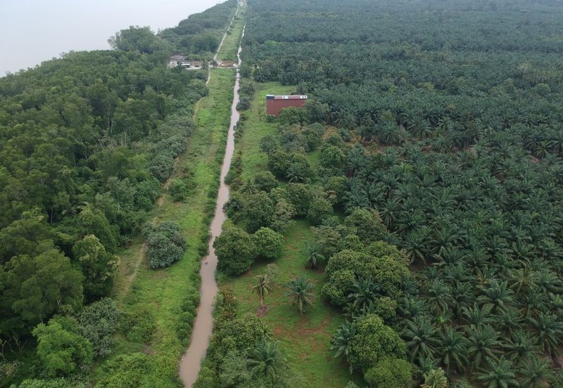 Pontian 3.548 Acres Land Near Seaside