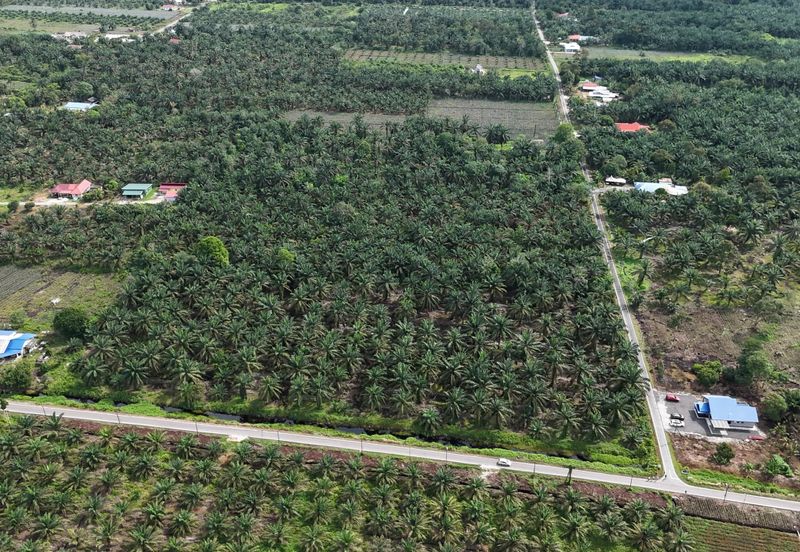 Pontian 4.53 Ekar Land