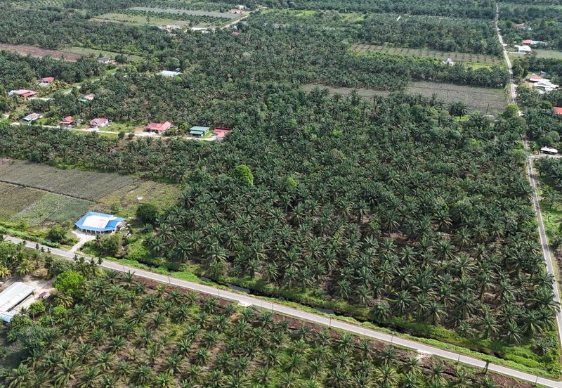 Pontian 4.53 Ekar Land