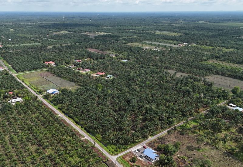 Pontian 4.53 Ekar Land