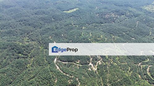 Kluang 66 Acres Land, Johor, Kluang