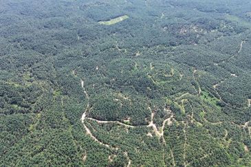 Kluang 66 Acres Land