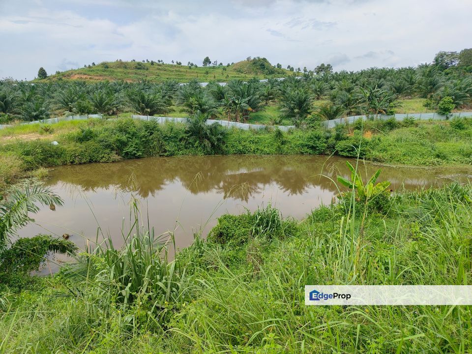 Machap 13+ Acre Land, Melaka, Alor Gajah