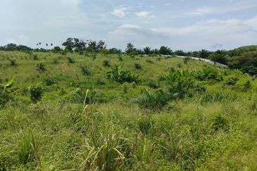 Machap 13+ Acre Land