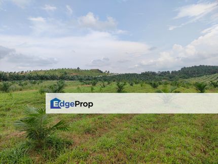Machap 13+ Acre Land, Melaka, Alor Gajah