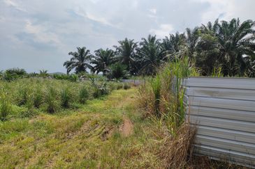 Machap 13+ Acre Land