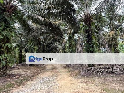 Simpang Renggam 66 Acres Land, Johor, Simpang Renggam