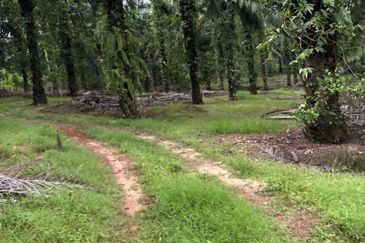 Kahang 10 Acres Land