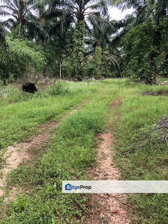 Kahang 10 Acres Land, Johor, Kluang