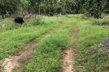 Kahang 10 Acres Land