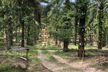 Kahang 10 Acres Land