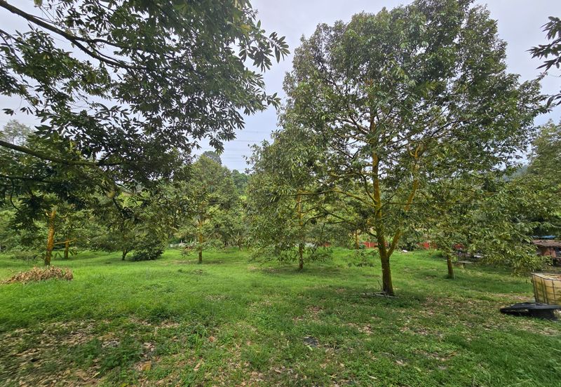 Bukit Batu 1.76 Acres Land