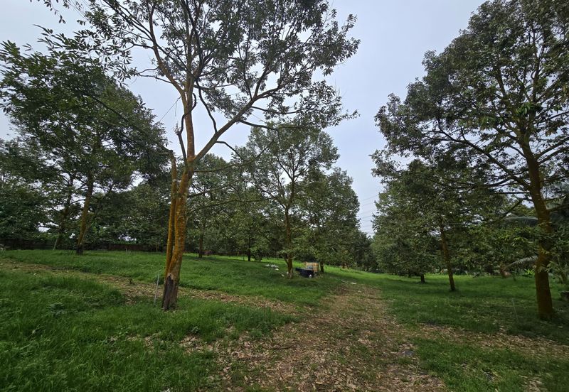 Bukit Batu 1.76 Acres Land