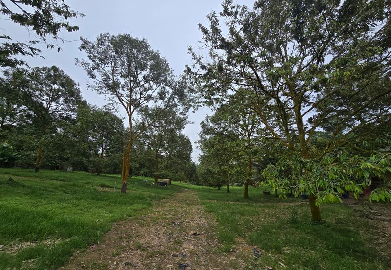 Bukit Batu 1.76 Acres Land