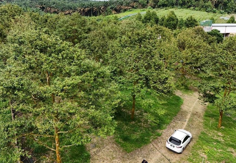 Bukit Batu 1.76 Acres Land