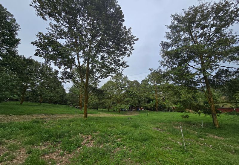 Bukit Batu 1.76 Acres Land