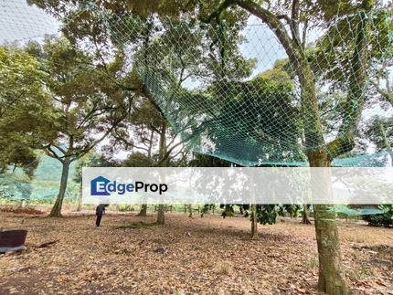 Tangkak 22 Acres Land, Johor, Tangkak